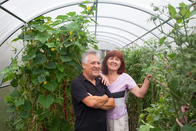 Para w podeszłym wieku pracuje w szklarni Emerytowani na wsi wiąże pomidory
