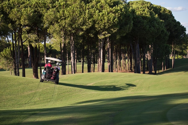 para w wózku buggy na polu golfowym