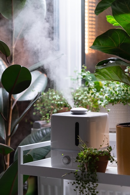 Zdjęcie para z nawilżacza nawilża suche powietrze otoczone roślinami doniczkowymi pielęgnacja roślin w ogrodzie domowym