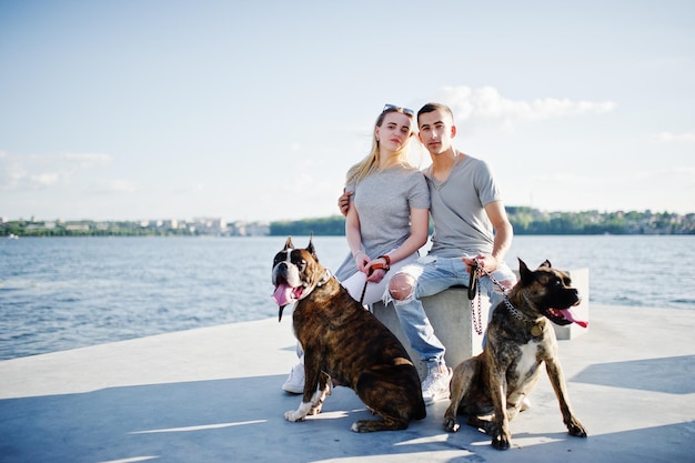 Para Zakochana W Dwóch Psach Pit Bull Terrier Na Plaży