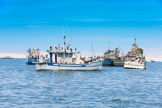 Paracas, Peru, łódź Rybacka W Regionie Islas Ballestas