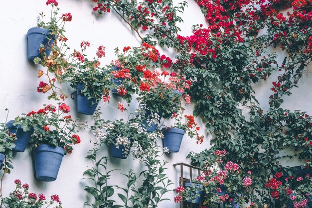 Pared Llena De Macetas Con Flores