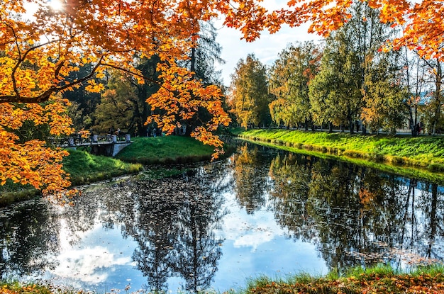 Park Aleksandra jesienią Puszkin Carskie Sioło St Petersburg Rosja