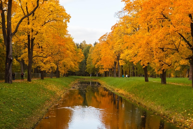 Park Aleksandra Jesienią. Z Jasnymi Kolorowymi Liśćmi