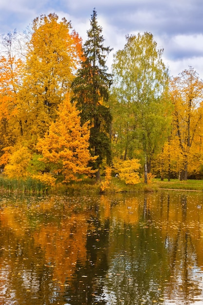 Park Aleksandra Jesienią. Z Jasnymi Kolorowymi Liśćmi