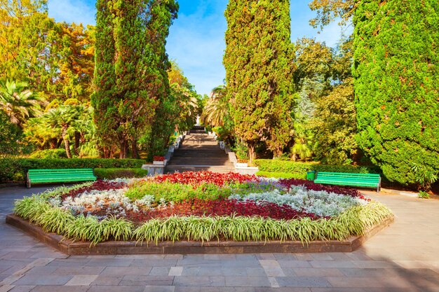 Zdjęcie park arboretum w soczi w rosji