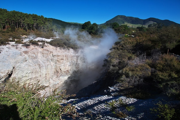 Park Geotermalny Wai-o-tapu, Rotorua, Nowa Zelandia