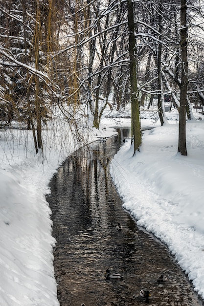 Park Gorkiego Mińsk