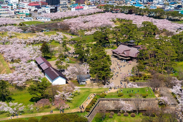 Park Goryokaku w wiosennym sezonie kwitnienia wiśni. Widok z lotu ptaka Hakodate Hokkaido Japonia