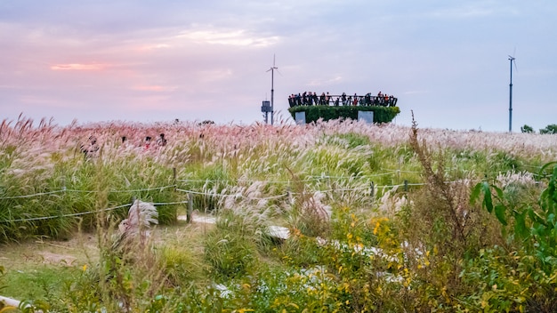 Zdjęcie park haneul