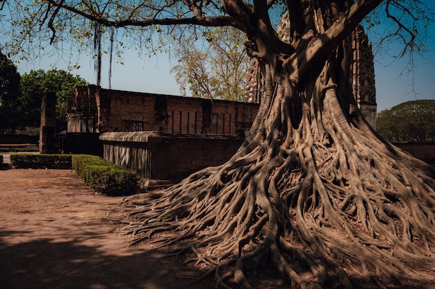 Park historyczny Sukhothai wpisany na Listę Światowego Dziedzictwa UNESCO w Tajlandii