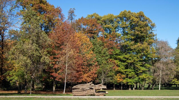 Park królewski, Villa Reale w Monza, Włochy jesienią