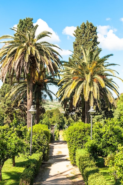 Park Monserrato wiosną sassari we włoszech