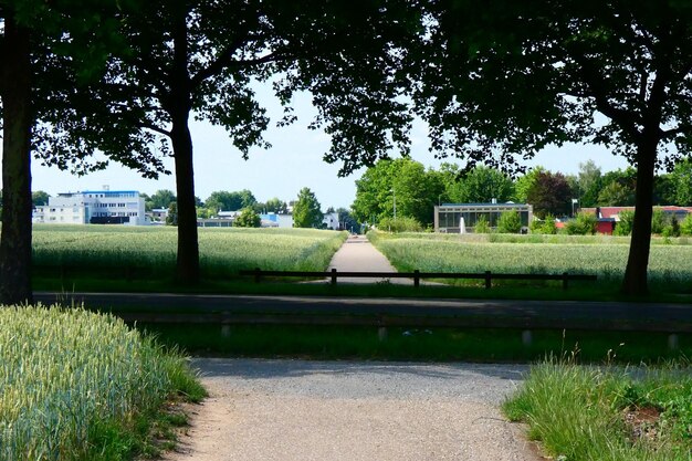 Zdjęcie park na polu przeciwko niebu