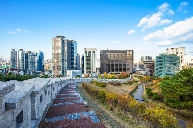 Zdjęcie park namsan miasto seul jesienią seul korea południowa