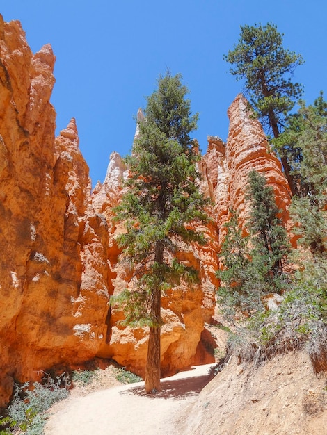 Park Narodowy Bryce Canyon