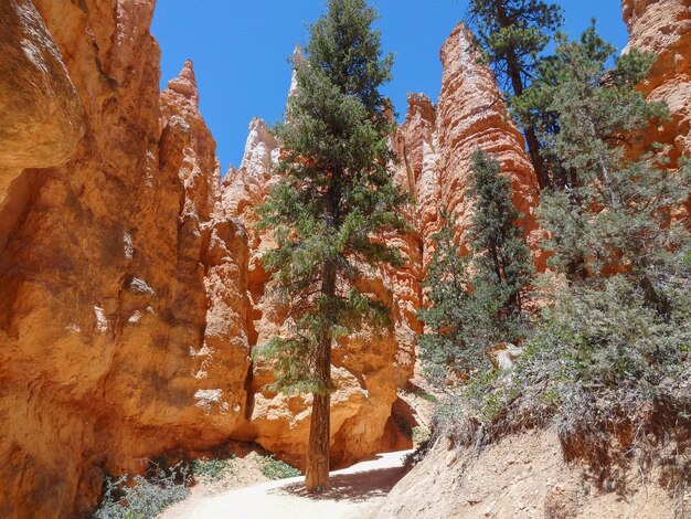 Park Narodowy Bryce Canyon