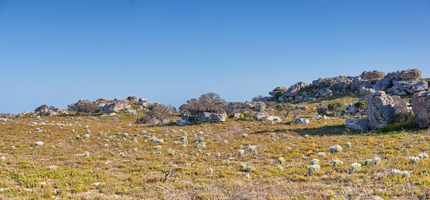 Park Narodowy Cape Point Dzikie tereny Parku Narodowego Cape Point