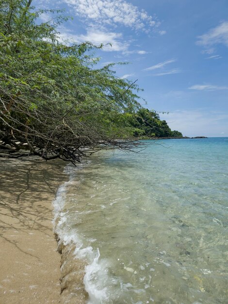 Zdjęcie park narodowy coiba spacer po pięknych krystalicznych plażach