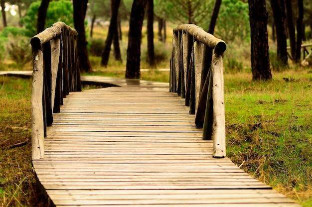 Park Narodowy Donana w Andaluzji.