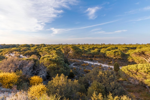 Park Narodowy Donana w prowincji Huelva