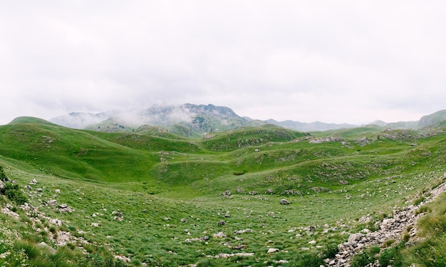 Park narodowy Durmitor w gęstej mgle nad zielonymi trawnikami