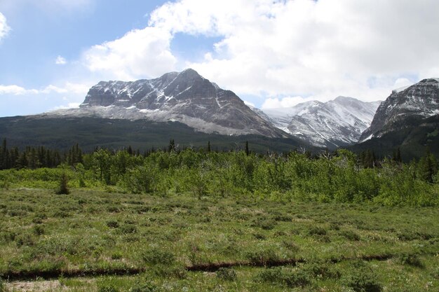 Park Narodowy Glacier Montana