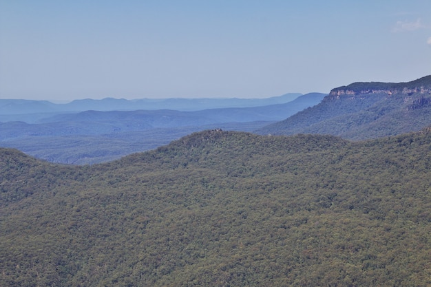 Park Narodowy Gór Błękitnych, Australia