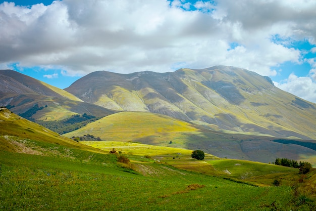 Park Narodowy Gór Sibillini. Pola w Castelluccio di Norcia, Umbria, Włochy.