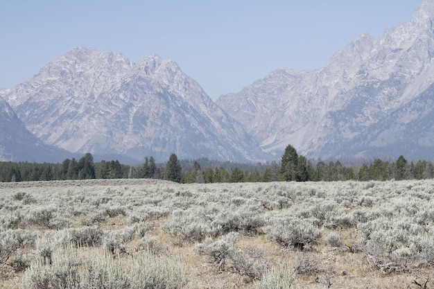 Park Narodowy Grand Teton w Wyoming USA