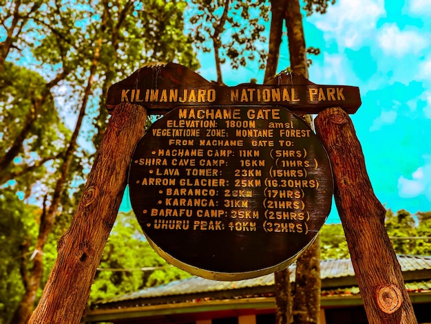 Park Narodowy Kilimanjaro