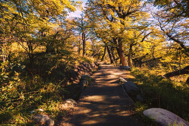 Park Narodowy Los Glaciares, prowincja Santa Cruz, Patagonia, Argentyna, na szlaku na górę Fitz Roy.