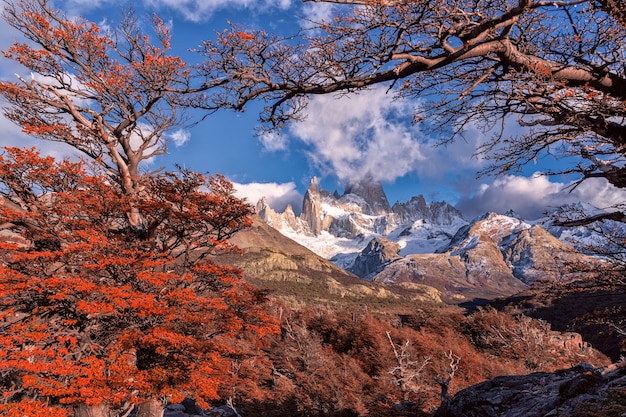 Park Narodowy Los Glaciares, Prowincja Santa Cruz, Patagonia, Argentyna, wierzchowiec Fitz Roy.