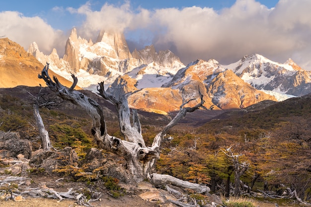 Zdjęcie park narodowy los glaciares, prowincja santa cruz