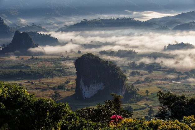 Park Narodowy Phu Langka w prowincji Phayao