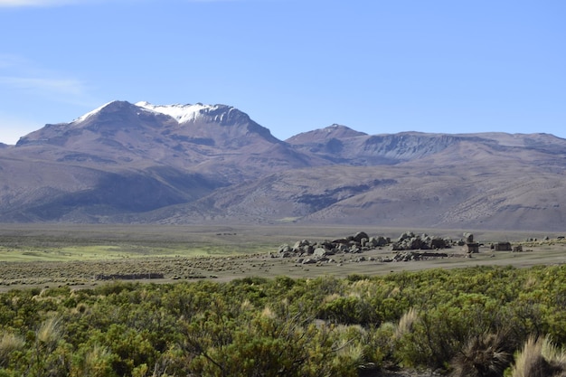 Park Narodowy Sajama otoczony ośnieżonymi górami z czarnymi chmurami otoczony suchą roślinnością Boliwia