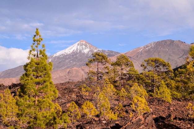 Zdjęcie park narodowy teide