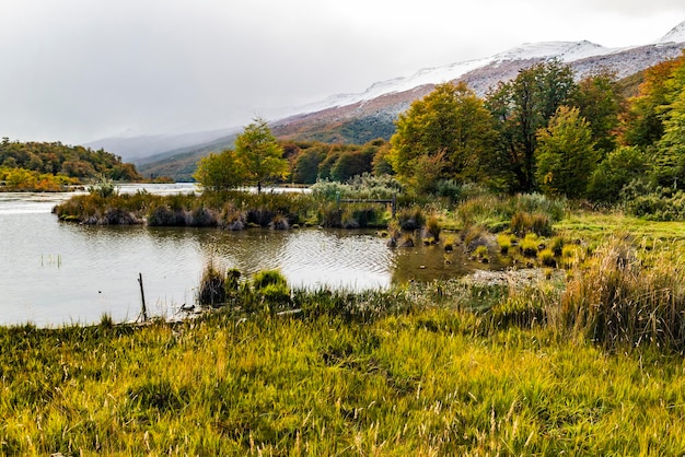 Park narodowy Tierra del Fuego Patagonia Argentyna