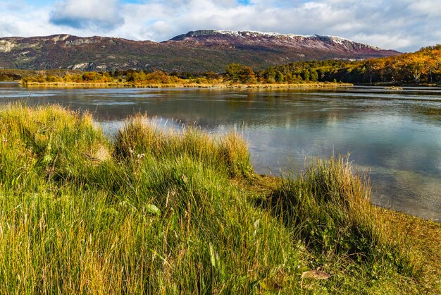 Park narodowy Tierra del Fuego Patagonia Argentyna