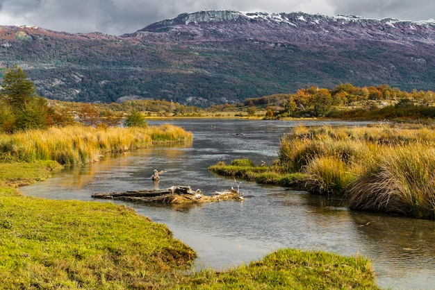 Park Narodowy Tierra Del Fuego Patagonia Argentyna