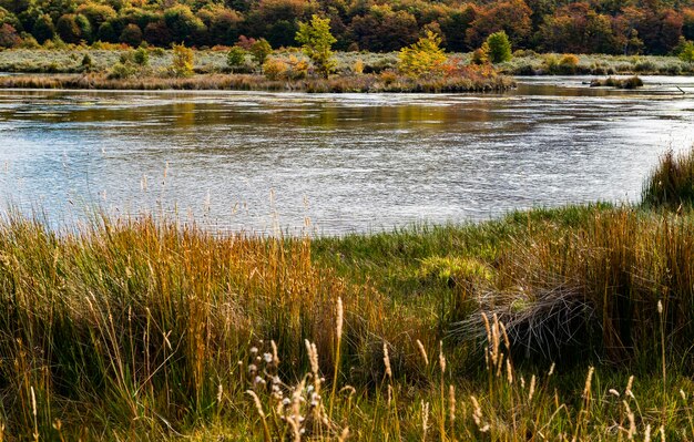 Park narodowy Tierra del Fuego Patagonia Argentyna