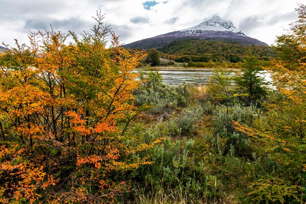 Park narodowy Tierra del Fuego Patagonia Argentyna