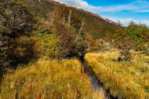 Park narodowy Tierra del Fuego Patagonia Argentyna