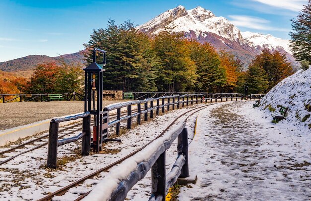 Zdjęcie park narodowy tierra del fuego patagonia argentyna