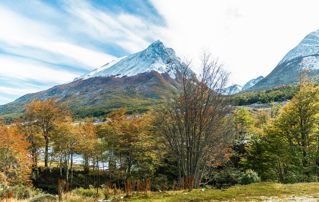 Zdjęcie park narodowy tierra del fuego patagonia argentyna