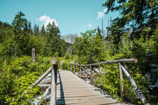 Park Narodowy Wysokie Tatry, Słowacja, Europa. Ścieżka turystyczna do górskiego jeziora Batizovske Pleso i Sliez