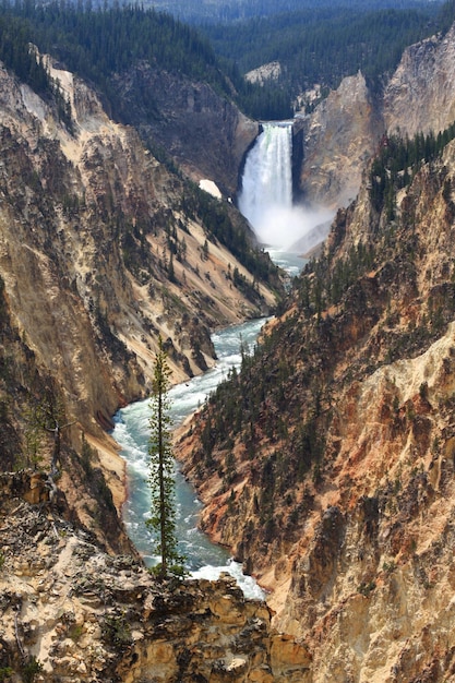 Zdjęcie park narodowy yellowstone usa