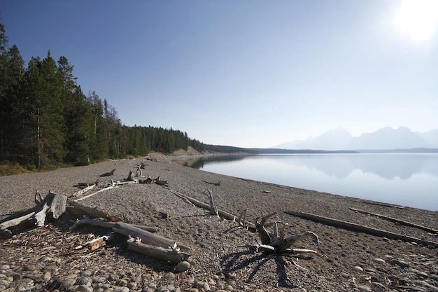 Park Narodowy Yellowstone W Wyoming Usa