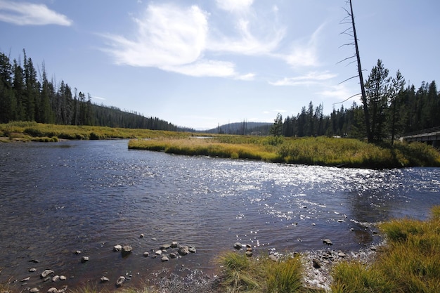 Park Narodowy Yellowstone w Wyoming USA