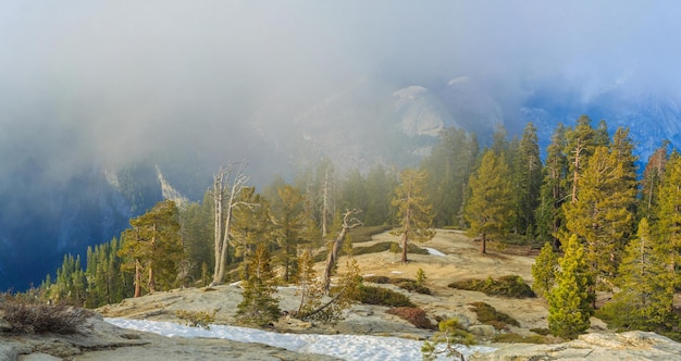 Park Narodowy Yosemite, USA